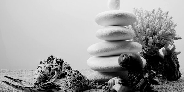 Πίνακας σε καμβά zen πέτρες με κοχύλια σε ασπρόμαυρο σχέδιο