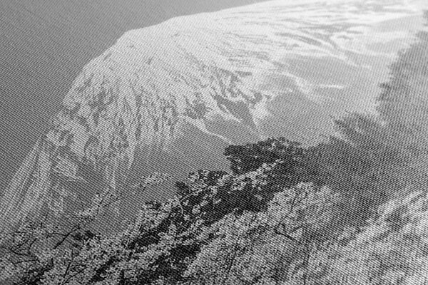 Πίνακας σε καμβά όρος Fuji σε ασπρόμαυρη εκδοχή