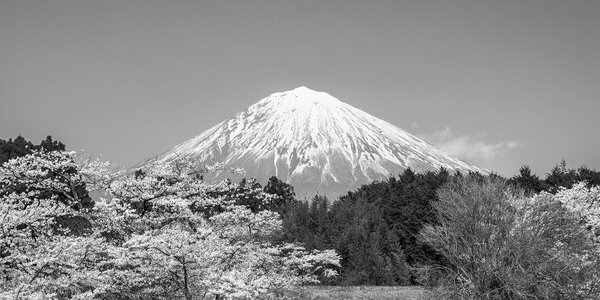 Πίνακας σε καμβά όρος Fuji σε ασπρόμαυρη εκδοχή