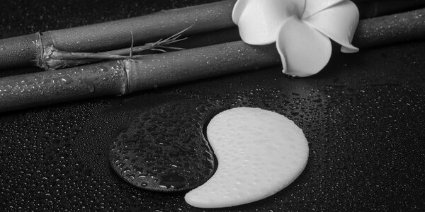 Πίνακας σε καμβά spa νεκρή φύση με σύμβολο Γιν και Γιανγκ σε ασπρόμαυρο