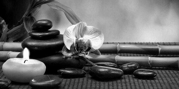 Πίνακας σε καμβά νεκρή φύση Feng Shui σε ασπρόμαυρο