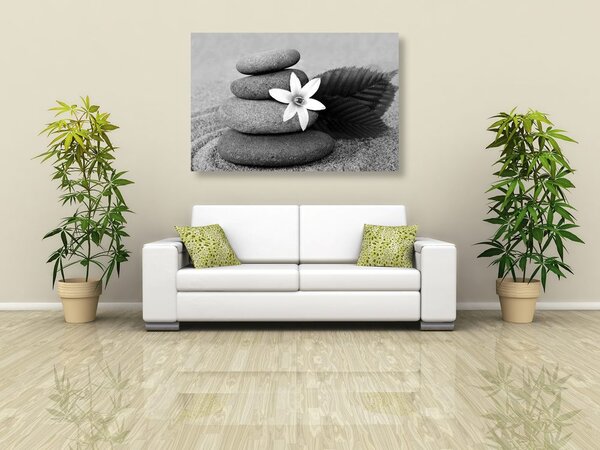 Πίνακας σε καμβά λουλούδι και πέτρες στην άμμο σε ασπρόμαυρο