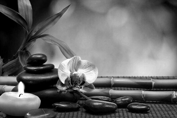 Πίνακας σε καμβά feng Shui αρμονία σε ασπρόμαυρη εκδοχή