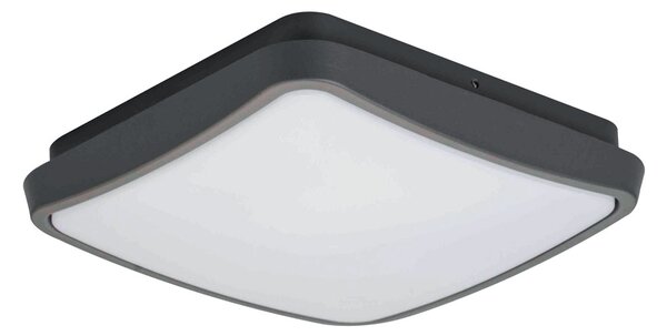 Φωτιστικό Πλαφονιέρα LED Viokef Tibuok 4197700