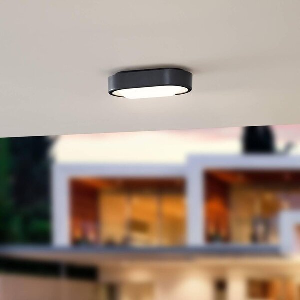 Lindby - Niniel Oval LED Εξωτερική λάμπα οροφής Black/White Lindby