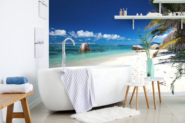Φωτοταπετσαρία παραλία Anse Source