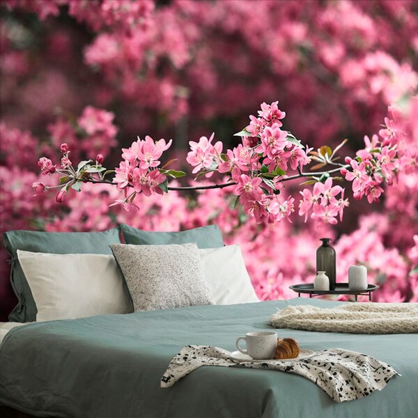 Φωτοταπετσαρία λεπτομερή άνθη κερασιάς