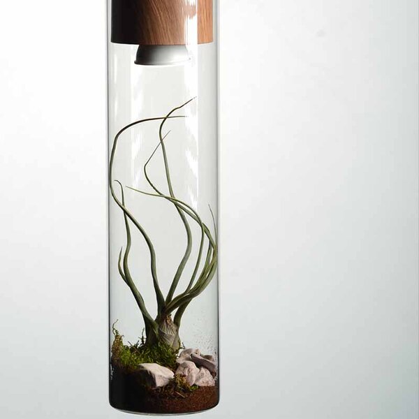 Φωτιστικό Οροφής Μονόφωτο Aca Pothos V110TR Wood