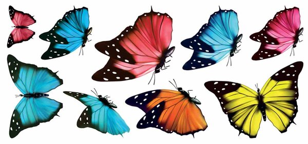 Αυτοκόλλητα Παραθύρου Διπλής Όψης Ango Butterflies 69002