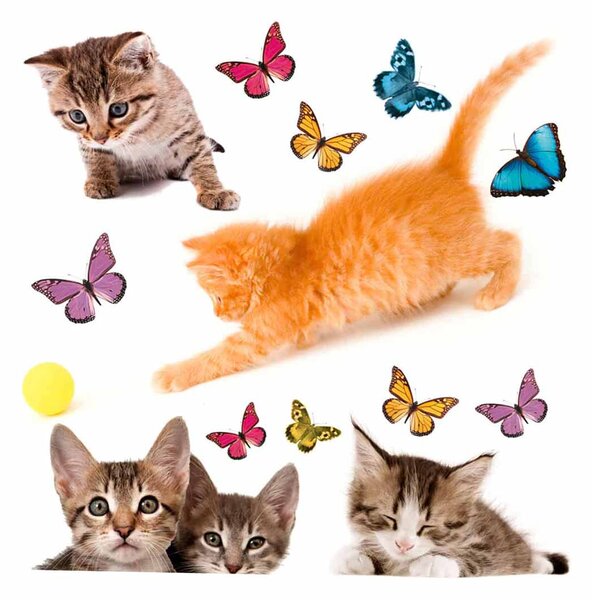 Αυτοκόλλητα Παραθύρου Διπλής Όψης Ango Cats 64001