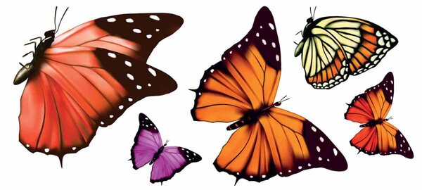 Αυτοκόλλητα Παραθύρου Διπλής Όψης Ango Butterflies 69002