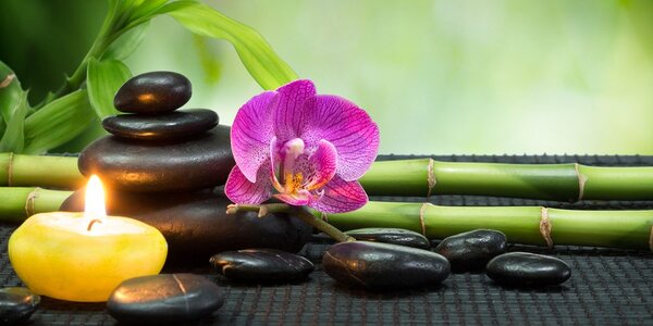 Πίνακας σε καμβά νεκρή φύση Feng Shui