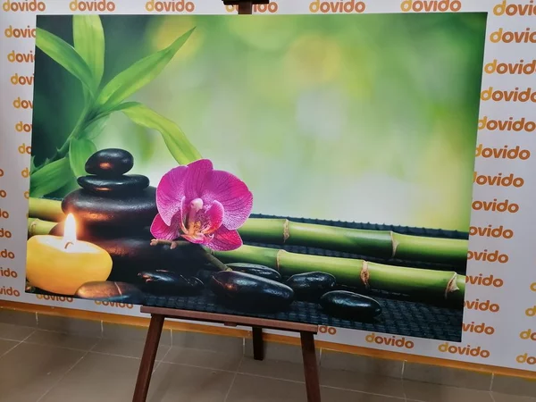 Πίνακας σε καμβά αρμονία Feng Shui