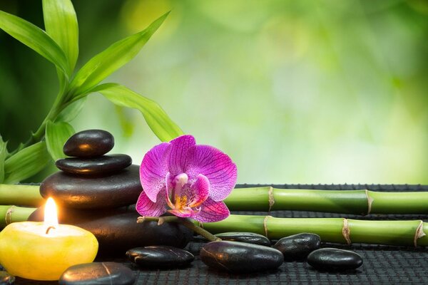 Πίνακας σε καμβά αρμονία Feng Shui