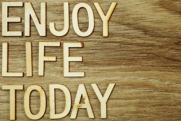 Πίνακας σε καμβά με απόσπασμα - Enjoy life today