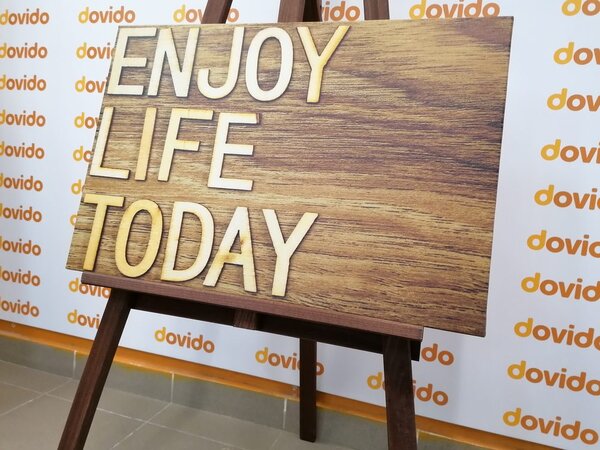 Πίνακας σε καμβά με απόσπασμα - Enjoy life today
