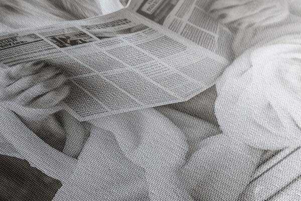 Πίνακας σε καμβά λευκός λέοντας με εφημερίδες στην τουαλέτα