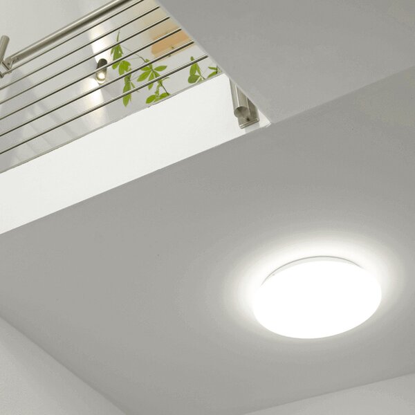 DOTLUX Φωτιστικό οροφής LED LUNA, λευκό, Ø 49 cm, 33 W, CCT IP44, Λευκό, Μπάνιο, Πλαστικό, σύγχρονο