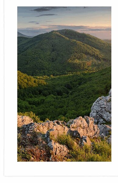 Αφίσα φύση λουσμένη στον ήλιο