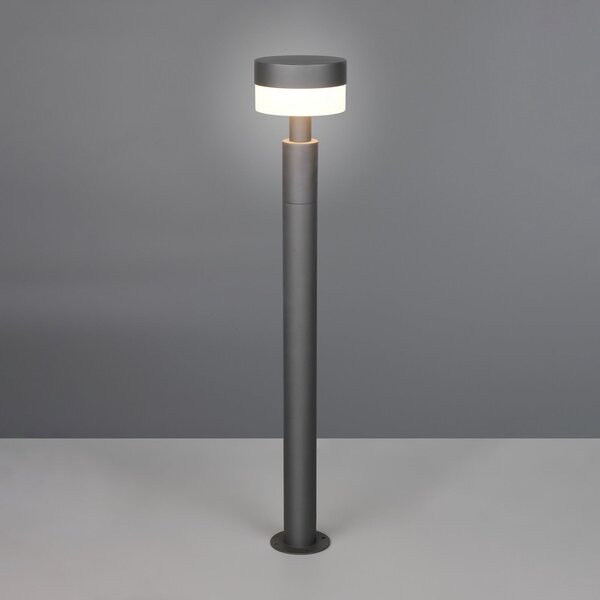 Trio Lighting Φωτιστικό LED Mackenzie, ύψος 95 cm, ανθρακί, χυτοσίδηρο, Γκρι, Αλουμίνιο, σύγχρονο