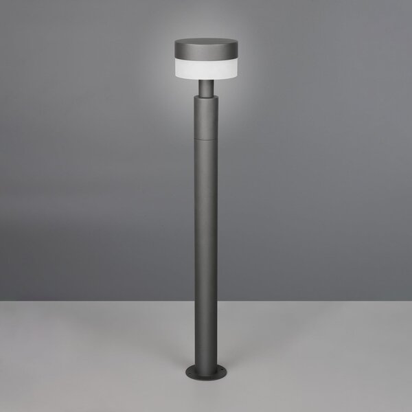 Trio Lighting Φωτιστικό LED Mackenzie, ύψος 95 cm, ανθρακί, χυτοσίδηρο, Γκρι, Αλουμίνιο, σύγχρονο