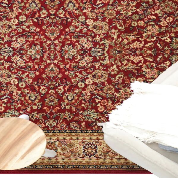 Οβάλ Χαλί Διαδρόμου (70x150) Royal Carpet Olympia 8595E Red