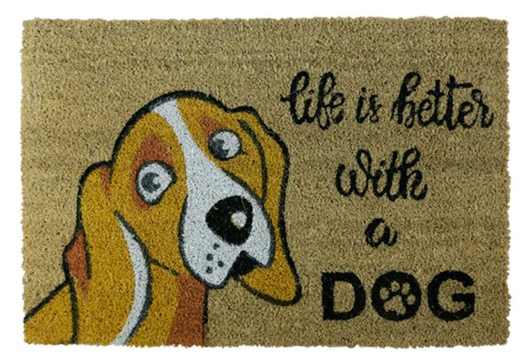 Πατάκι Εισόδου (40x60) San Lorentzo Life Better With Dog SL8623