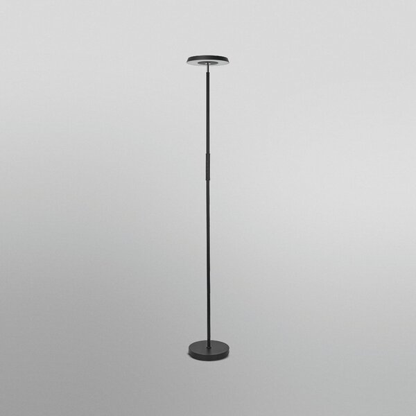 OSRAM SMART+ WiFi LED-Stehleuchte, μαύρο, up/down, RGB CCT, ρυθμιζόμενος, Μαύρο, Σαλόνι / τραπεζαρία, Μέταλλο, σύγχρονο, Ελεύθερος κατακόρυφος προβολέας