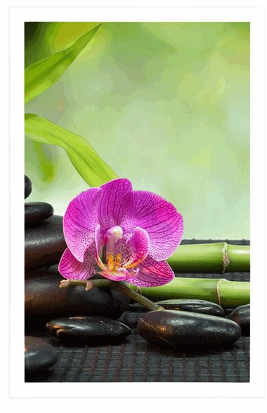 Αφίσα νεκρή φύση Feng Shui