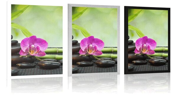 Αφίσα νεκρή φύση Feng Shui