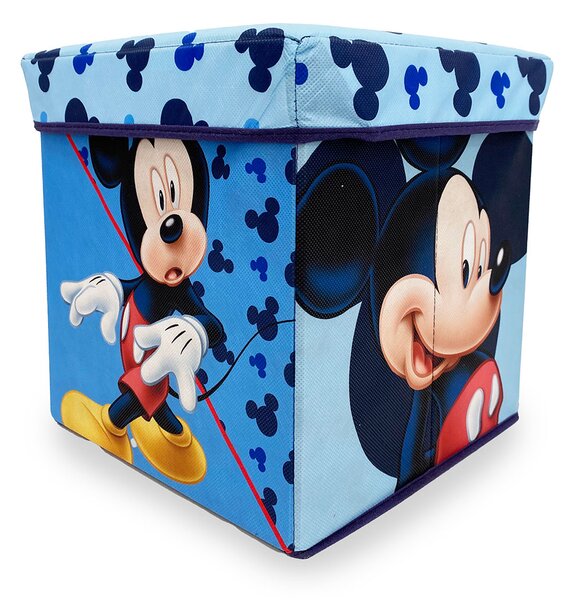 Σκαμπό Με Αποθηκευτικό Χώρο (30X30) Dimcol Mickey 14