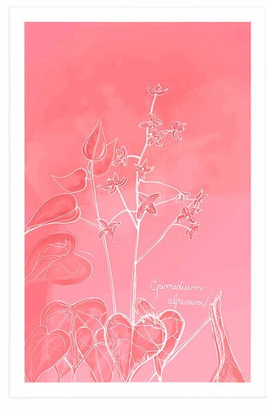 Αφίσα εντυπωσιακό φυτό Epimedium alpinum