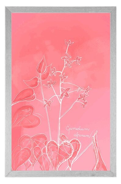 Αφίσα εντυπωσιακό φυτό Epimedium alpinum
