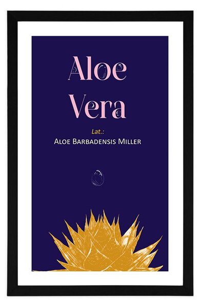 Αφίσα με την επιγραφή Aloe Vera