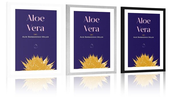Αφίσα με την επιγραφή Aloe Vera