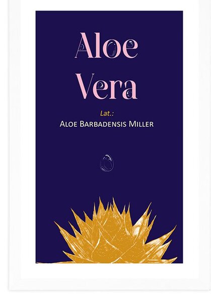 Αφίσα με την επιγραφή Aloe Vera