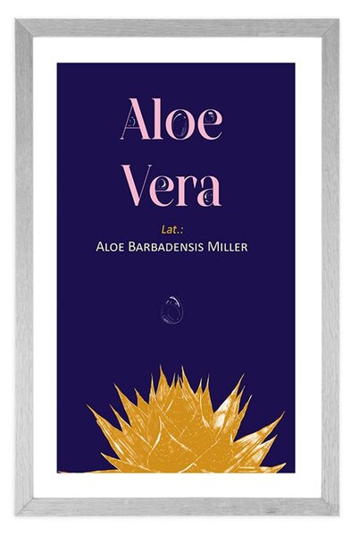 Αφίσα με την επιγραφή Aloe Vera