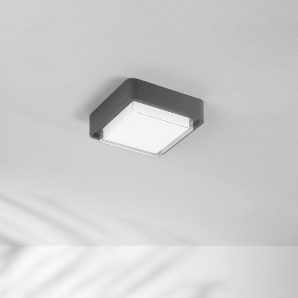 Fabas Luce Εξωτερικός φωτιστικός LED οροφής Diuk, σκούρο γκρι, μέταλλο, IP65, Μαύρο, Αλουμίνιο, σύγχρονο