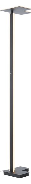 Brilliant Λάμπα δαπέδου LED Mora, ανθρακί, ύψος 178 cm, μέταλλο, ρυθμιζόμενος, Μαύρο, Σαλόνι / τραπεζαρία, Μέταλλο, σύγχρονο