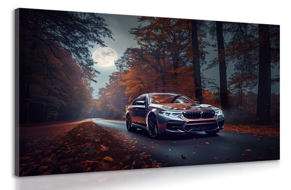 Πίνακας σε καμβά bMW στο φως της πανσελήνου