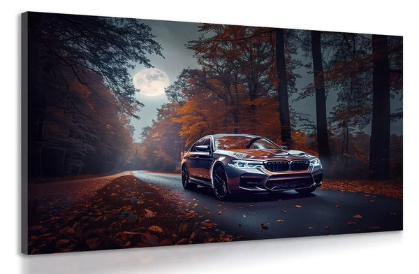 Πίνακας σε καμβά bMW στο φως της πανσελήνου