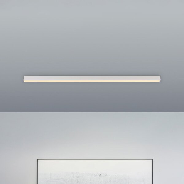 PURE LED οροφής Lines, λευκό, 110 cm, CCT, τηλεχειριστήριο, ρυθμιζόμενος, Λευκό, Σαλόνι / τραπεζαρία, Μέταλλο, σύγχρονο