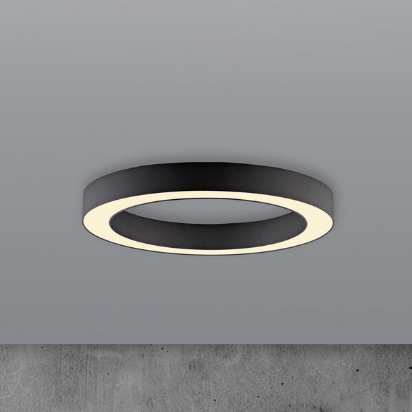PURE LED φωτιστικό οροφής Lines, Ø 35 cm, γραφίτη, CCT, τηλεχειριστήριο, ρυθμιζόμενος, Μαύρο, Σαλόνι / τραπεζαρία, Μέταλλο, σύγχρονο