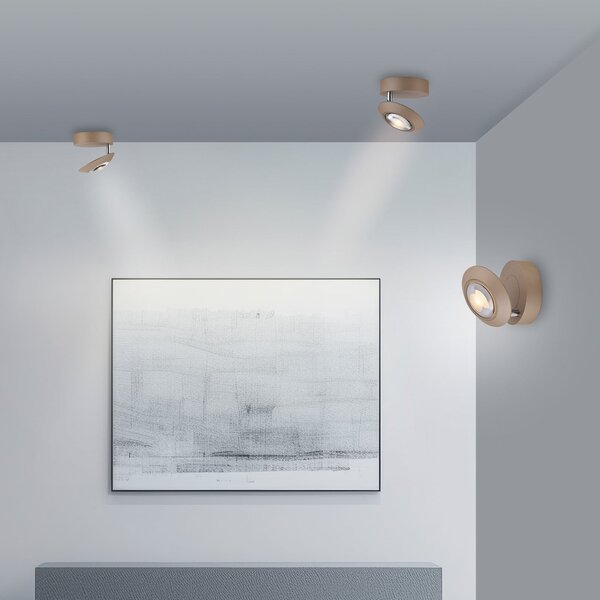 PURE LED φωτιστικό οροφής Oculis χρώματος μπρονζέ, Ø 15 cm σίδερο/γυαλί, ρυθμιζόμενος, Μπρούτζινο / Αντικέ ορείχαλκου, Σαλόνι / τραπεζαρία, Μέταλλο, σύγχρονο