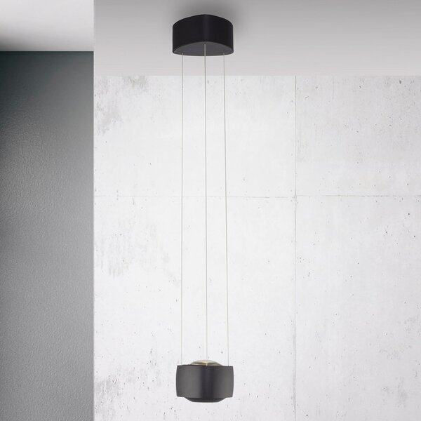 Paul Neuhaus LED κρεμαστό φωτιστικό Q-Stretto, μαύρο, Ø 14,5cm, ρυθμιζόμενος, Μαύρο, Σαλόνι / τραπεζαρία, Μέταλλο, σύγχρονο