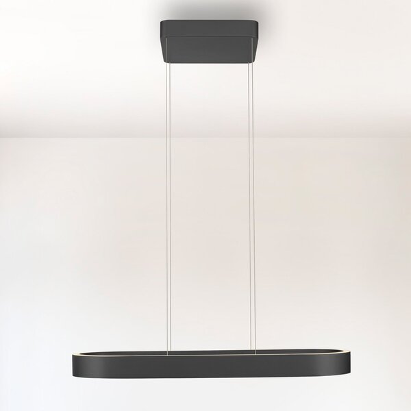 Paul Neuhaus LED κρεμαστό φωτιστικό Q-Stretto, μαύρο, 86,8cm, ρυθμιζόμενος, Μαύρο, Σαλόνι / τραπεζαρία, Μέταλλο, σύγχρονο