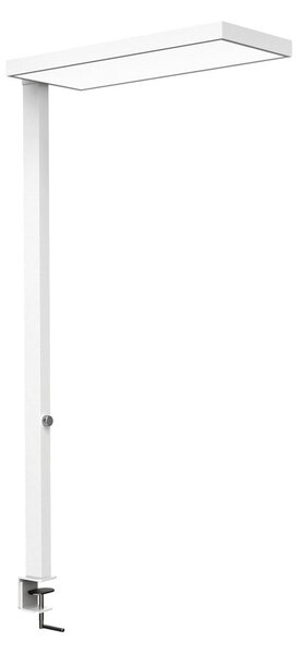 Maul Λάμπα LED MAULjura, λευκή, αλουμίνιο, ρυθμιζόμενη ένταση φωτισμού, 100 cm, ρυθμιζόμενος, Λευκό, Μελέτη / Γραφείο, Αλουμίνιο, σύγχρονο
