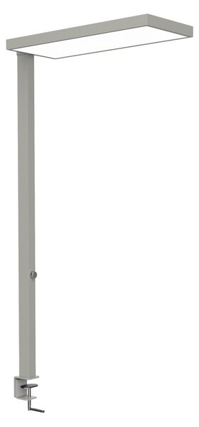Maul Λάμπα LED MAULjura, ασημί, ρυθμιζόμενη ένταση φωτισμού, 100 cm, ρυθμιζόμενος, Μεταλλικό, Μελέτη / Γραφείο, Αλουμίνιο, σύγχρονο