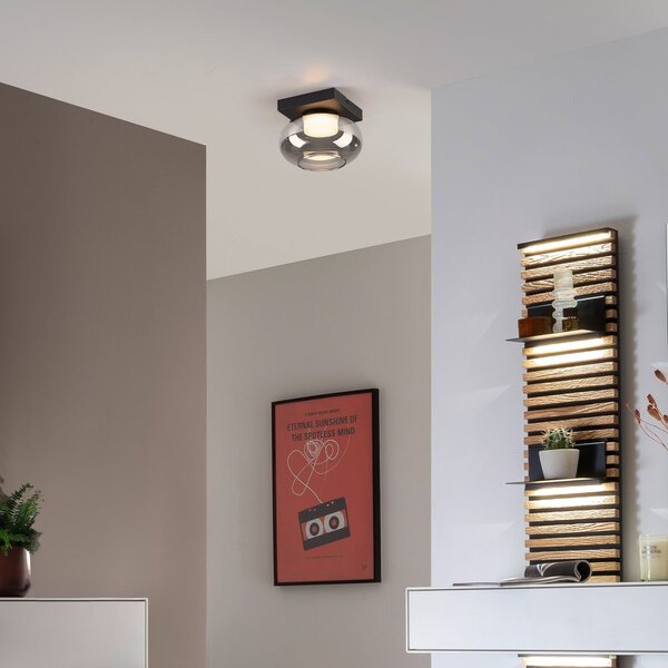 Schöner Wohnen LED φωτιστικό οροφής Sia, καπνιστό γκρι 3.000 K, ρυθμιζόμενος, Γκρι, Σαλόνι / τραπεζαρία, Γυαλί, σύγχρονο