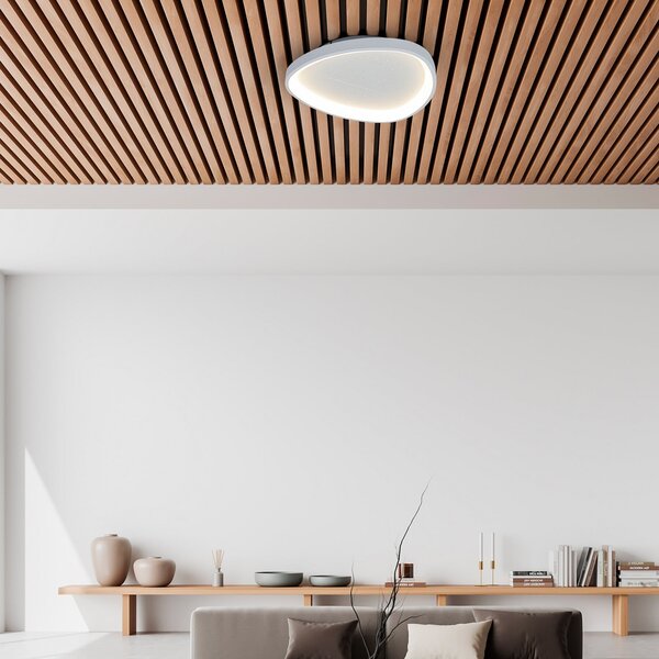 Näve Φωτιστικό οροφής LED Argesa, Ø 42 cm, λευκό, CCT, τηλεχειριστήριο, ρυθμιζόμενος, Λευκό, Σαλόνι / τραπεζαρία, Μέταλλο, σύγχρονο